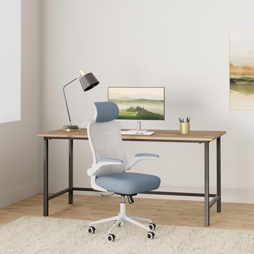 FOKESUN Ergonomic Office Chair, High Back Mesh Desk Chair with Thick Molded Foam Cushion, Coat Hanger, Adjustable Headrest, Lumbar Support, Tilt & Lock Function - Task Computer Chair