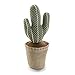 VERSA 20270119 Fermaporta Cactus, Tessuto, Multicolore, 12x12x34 cm