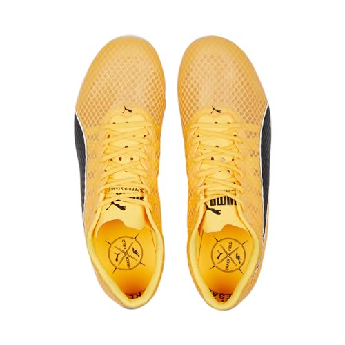 PUMA Homme Evospeed Distance 11 Chaussures athlétiques, Sun Stream Black Silver, 42.5 EU