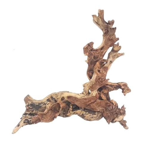 Hamiledyi Aquarium Driftwood, Natural Large 7-15in Coral Driftwood for Aquarium Decor Reptile Tank Decor Terrarium Ornament Wood Branch Trunk Stump for Fish Betta Lizard Cover