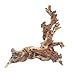 Hamiledyi Aquarium Driftwood, Natural Large 7-15in Coral Driftwood for Aquarium Decor Reptile Tank Decor Terrarium Ornament Wood Branch Trunk Stump for Fish Betta Lizard