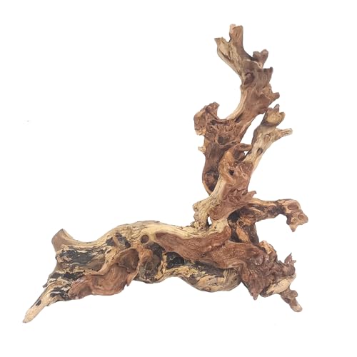 Hamiledyi Aquarium Driftwood, Natural Large 7-15in Coral Driftwood for Aquarium Decor Reptile Tank Decor Terrarium Ornament Wood Branch Trunk Stump for Fish Betta Lizard by Hamiledyi - Used condition - US$15.98