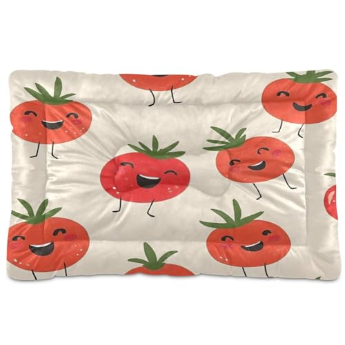 Fuauuyl Cute Tomate (2) Almohadilla de cama para mascotas de ojos rosados, alfombrilla suave para cama de perro, lavable a máquina, almohadilla para jaula con parte inferior antideslizante para dormir