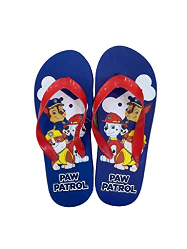 Licensed Boys Flip Flop Sandal For Pool or Beach