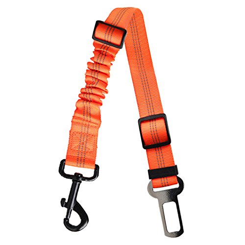 Cintura di Sicurezza per Cani Regolabile con