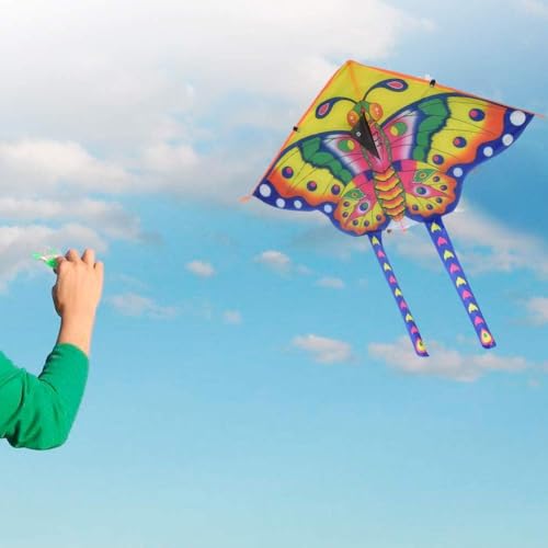 Pipa Borboleta 3D em Poliéster Colorida com Linha de Nylon