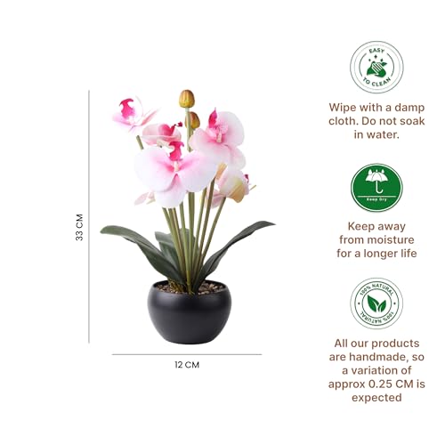 Image of Habere India-All the Cultures Fabricating India Moth Orchid Artificial Plants with Pot for Home Decor | Small Fake Flower Plants for Living Room & Indoor Decoration (Design03: L12 x W12 x H33 cm)