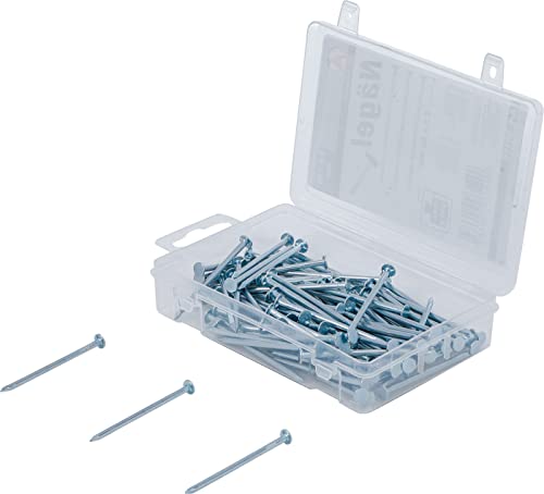 BGS Diy 88116 | Nägel-Sortiment | 200 g | 2,5 x 50 mm