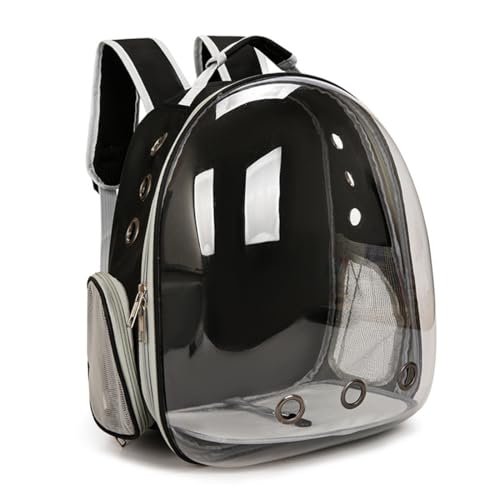 L  L[ bNTbN ybgL[ 2way  bN obO Lp ^Ep [obO e FDJvZ^ 2ނ̑t TChbVhA ʋC pbht s ʉ@ h p (, 33*s1