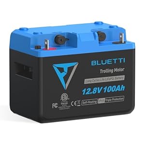 BLUETTI 12, V 100Ah LiFePO4 Lithium Batterie mit Bluetooth, Eingebautes 300A BMS, 6000+ Zyklen, IP65 Wasser- & staubdicht, 10 Jahres Lebensdauer für RV, Boot, Solar Off-Grid