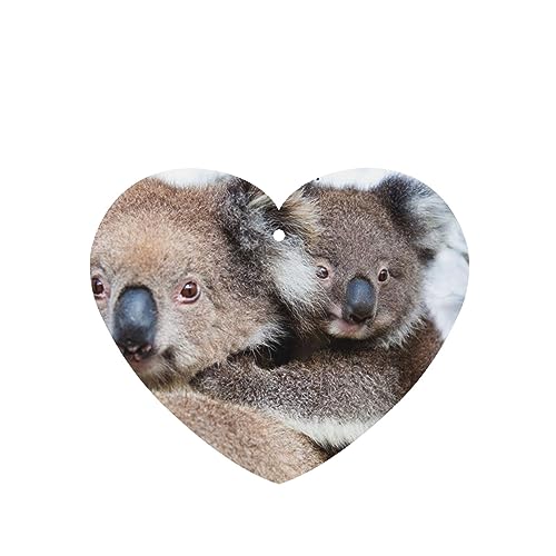 Koala Bear ԗpF p[\iCYꂽXCX J[A}Zs[^ubg ݂艺F܃J[h [vt 4 ԂƂ̑p