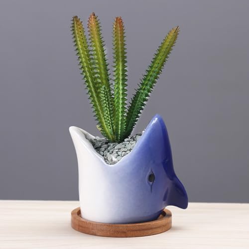 Pot de fleurs requin en céramique DOITOOL pour plantes succulentes - 6