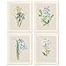 heshengzaixian Vintage Blue Flower Canvas Wall Art Print, Retro Floral Botanical Illustration Garden Nature Decor Poster Painting for Home Office College Plant Lovers,Set of 4 Unframed 8 x 10 in