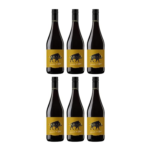 Bodegas Paniza Jabalí Garnacha Syrah DO Rotwein Rot halbtrocken Spanien inkl. FeinWert E-Book (6 x 0.75 l)