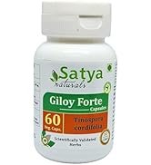 Satya Naturals Giloy Forte Capsules 500 mg. 60 Veg. Capsule | Guduchi (Tinospora Cordifolia) Extr...