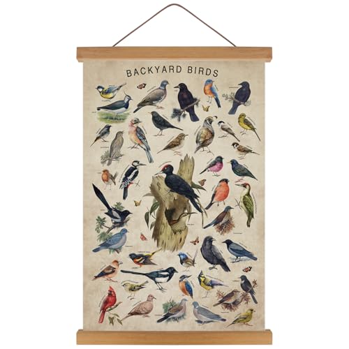 Impression d'art d'oiseaux de jardin KAIRNE pour créer une ambiance cottage anglais dans un salon
