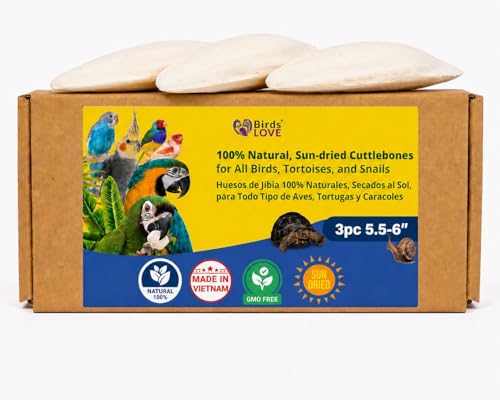 Birds LOVE 5.5-6″ Cuttlebone for Birds...