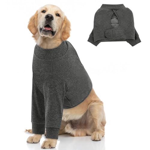 Image of Queenmore Dog Recovery Suit for Front Legs, Adjustable Dog Leg Sleeves to Stop Licking, Breathable Recovery Sleeve for Large Breeds, Wound Care for Pets, Grey, L
