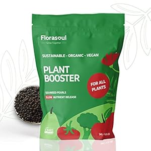 Florasoul® Organic Seaweed Fertilizer All Purpose Plant Food Slow Release Fertiliser Granules Plant Food Outdoor, Vegan Organic Plant Fertiliser, 3kg