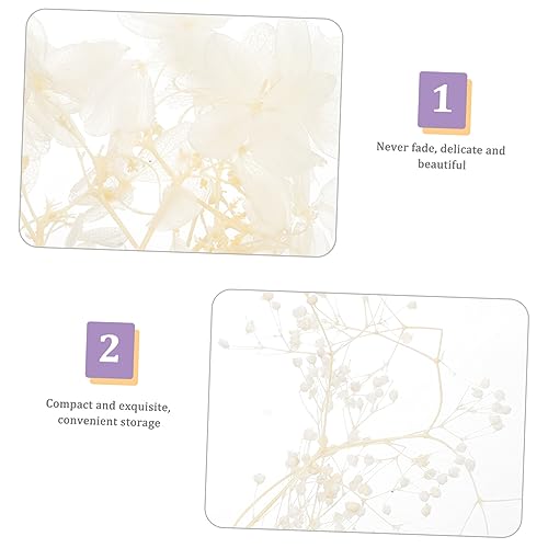 Kit de Flores Secas Prensadas para Manualidades miniatura 6