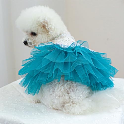 Disfraz vintage para perros vestido de tul mariposa azul XL miniatura 7