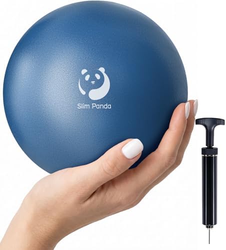 Slim Panda 6 Inch Mini Pilates Ball - Micro-Therapy Barre Ball with Needle Valve & Hand Pump - Physical Therapy Grade Anti-Burst Core Ball for Pelvic Floor, Yoga & Home Gym