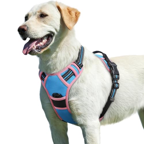 Image of Eagloo Dog Harness for Large Dogs, No Pull Pet Vest with 2 Leash Clips