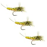 Fly Fishing Flies by Colorado Fly Supply - Profile Green Drake - Green Drake Extended Body - Foam and Attractor Dry Flies - Green Drakes - Trout Flies and Lures - 3 Fly Pack