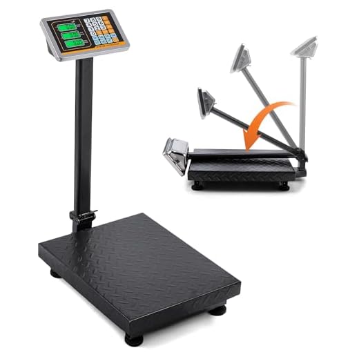 Bonvoisin Heavy Duty Digital Floor Scale
