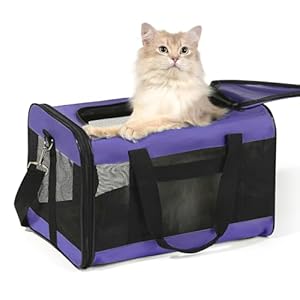 Cat Carrier Airline Approved, Soft-Sided Dog Carrier with Inner Safety Leash, Pet Transport Carrier for Small-Medium Cats Puppies up to 15 Lbs, Collapsible Travel Kitten Carrier Bag -Purple M
