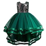 hnhmli Princess Little Girls' Sequin Mesh Tull Dress Sleeveless Dresses Ball Gown for Wedding Birthday Party with Train 3-10 Years Green