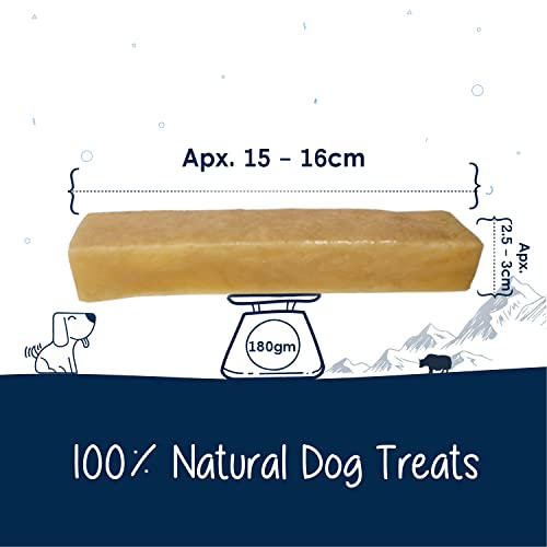 Safest Long Lasting Chews For Dogs 2025 - Vet Ranch - We Love Pets