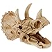 POPETPOP Turtle Tank Accessories Aquarium Decorations Triceratops Skull DÃ©cor Triceratops Head Statue Resin Skull Model for Reptiles Hideout Fish Aquarium Accessories Outdoor Decor