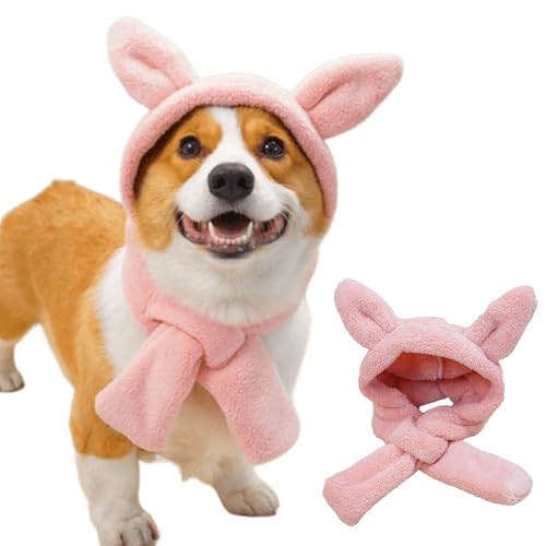 IUOUTG ʔʂ݂̖̌̓XqAybgwbhohqXJ[tLbvƏȒx̑傫Ȍp̃ETMCtbvANZT[AL