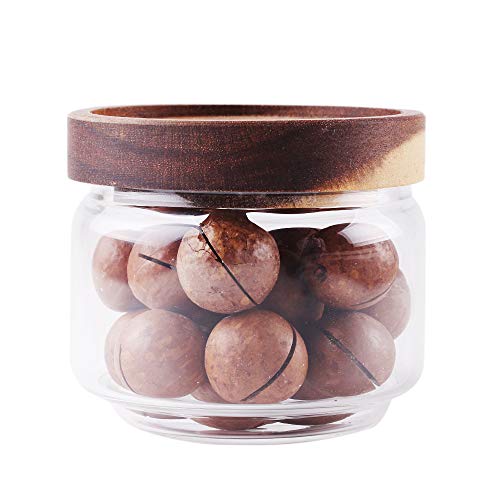 LEAVES AND TREES Glass Coffee Storage Canisters