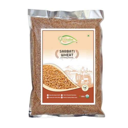 Image of Organic Sarbati Wheat Grains Seeds (15Kgs) | For Farming, Sowing & Agriculture Use | Produce of India | 100% Natural & Non-GMO | By G7 Grains