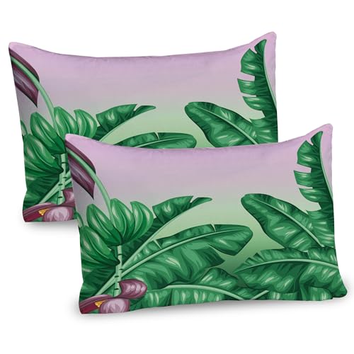 Ambesonne Botany Pillow Sham Set of 2, Exotic Flowering Plants Wild Orchid Blooms Romantic Mother Earth Print, Quality Microfiber Bedding Item for All Seasons, 36