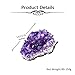 Top Plaza Natural Amethyst Geode Cave Healing Crystal Stones Rock Cluster Druzy Witchcraft Raw Amethyst Gemstone Specimen (0.18-0.33 Pound)