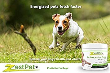 Zestpet Probiotics For Dogs With Prebiotics Pet Invisible Powder Supplement, 100 Per Cent Satisfaction Guarantee #TOP7