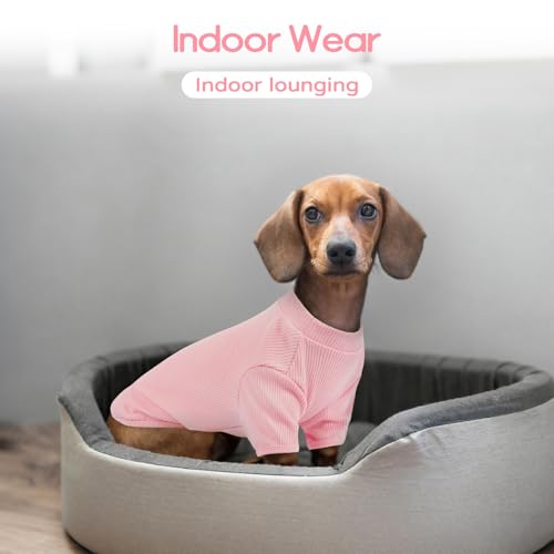 Dünner Hunderpullover für große Hunde – Leichter Rippstrick Hunde T-Shirt für Border Collie, Australian Shepherd & Labrador, Alltagspullover, Elastisch & Weich Hundeshirt, Blütenrosa XL