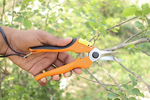 Falcon FPS-212 Steel Pruning Secateur (Multicolor)