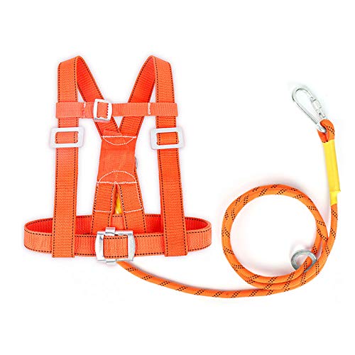 MFZTQ Kits De Harnais De SéCurité,Half Body Absorbant Les Chocs Lanyard Single Rope Length 2m, Diameter 14mm Cover