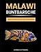 Malawi Buntbarsche - Cichliden von A bis Z: Herkunft - Arten und Gattungen - Haltung - Pflege