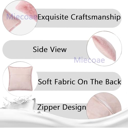 Housse de coussin 50x70 cm lot de 2 taies d'oreiller modernes pour sofa