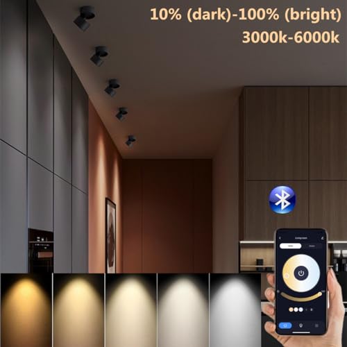 Image of LED 3CCT Dimmable Ceiling Spotlight Indoor 360Adjustable -Tuya Smart Life Surface Mounted 12W COB Directional Art Lighting-Hard Wired Ceiling Downlight for Mural Display Home Shop (Black)