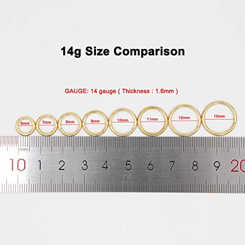 Image of FANSING Men Women 316L Surgical Steel Hinged Nose Rings Hoop for Nostril Septum Cartilage Helix Daith Tragus Rook Conch Lip Ear Lobe Piercings