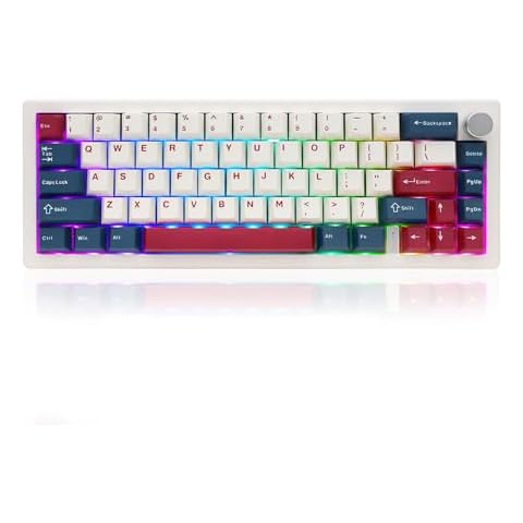 FKZ GMK67 65% Wireless Mechanical Keyboard,Hot-Swap PCB Tri-Mode BT5.0/2.4G/Type-C Wired Custom RGB Backlit Mini Keyboard with Knob Gasket Mount Programmable NKRO Gaming Keyboard (White) Cover