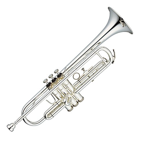 The 29 Best Jupiter Trumpets of 2024 [Verified] Cherry Picks