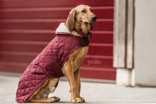 Kentucky - Hundemantel - Bordeaux - XS - 28-33cm