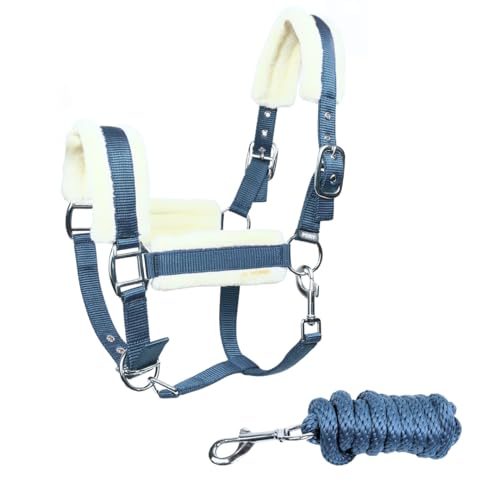 JA Horse JA4006 Premium verstellbar Halfter Set Karabiner, Hellblau, Cob